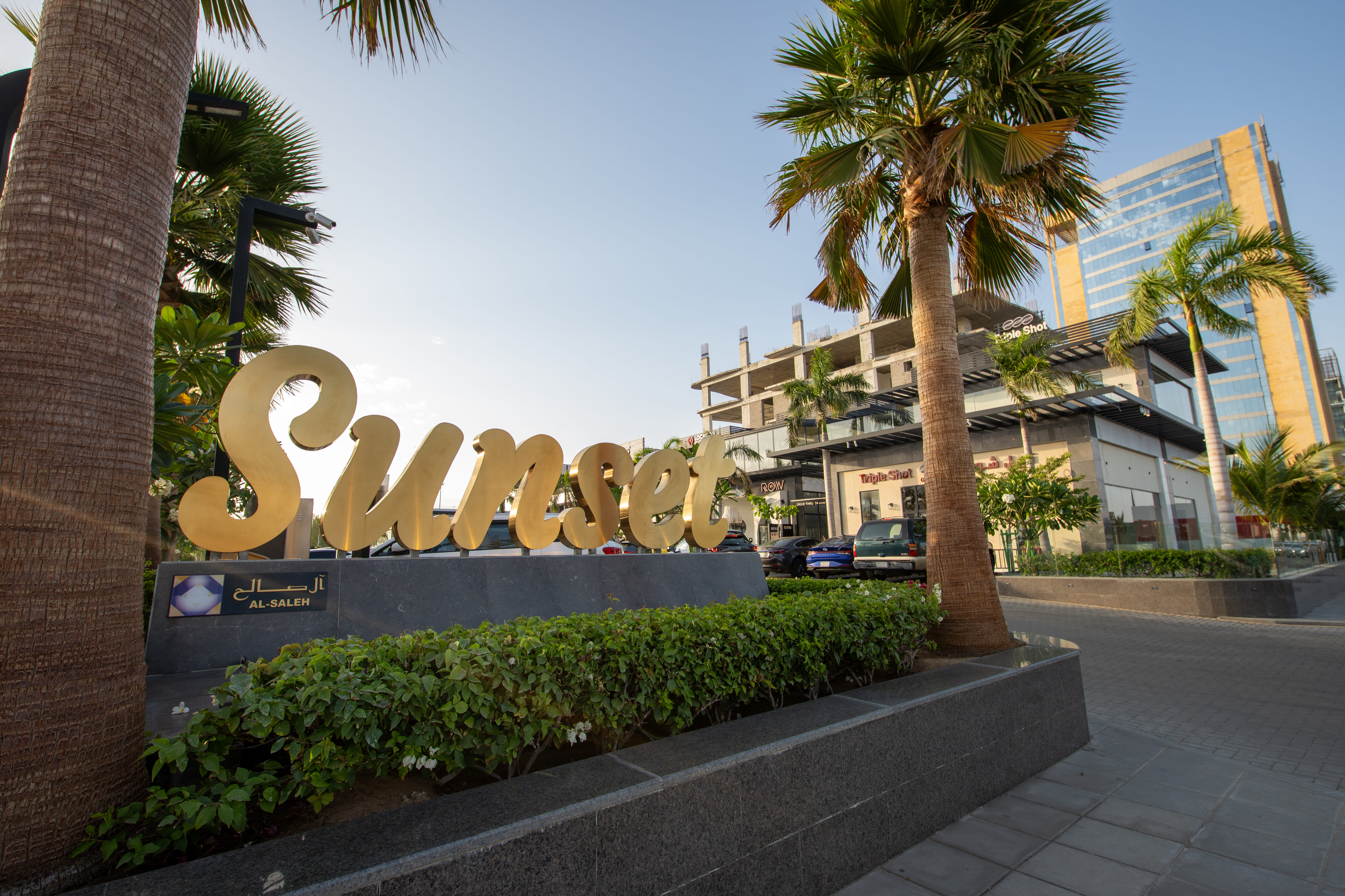 Sun Set - image 3