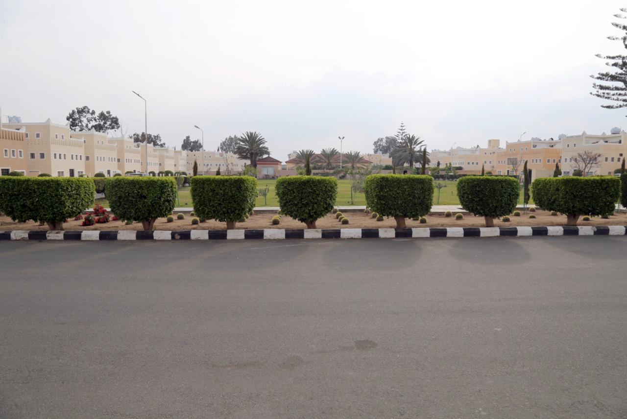 قريتي - image 5