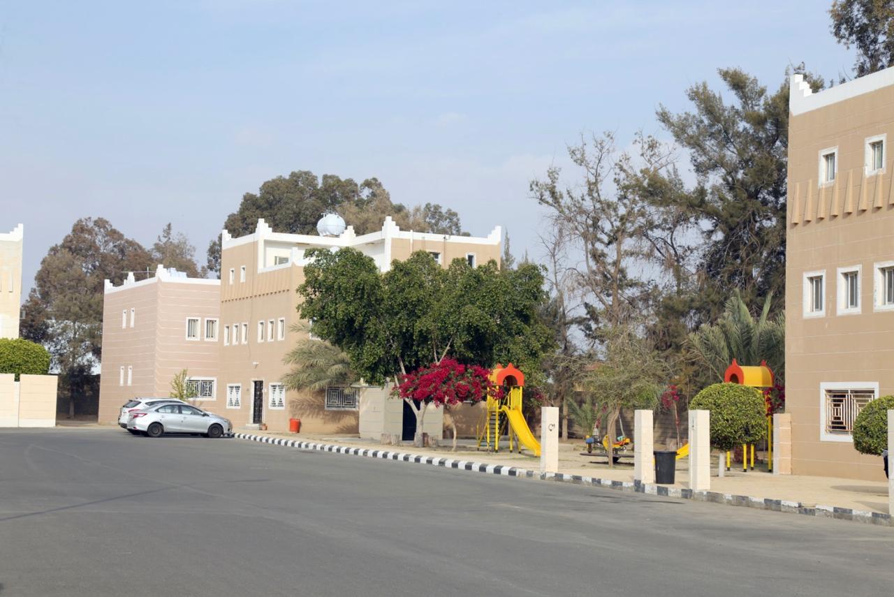 قريتي - image 6