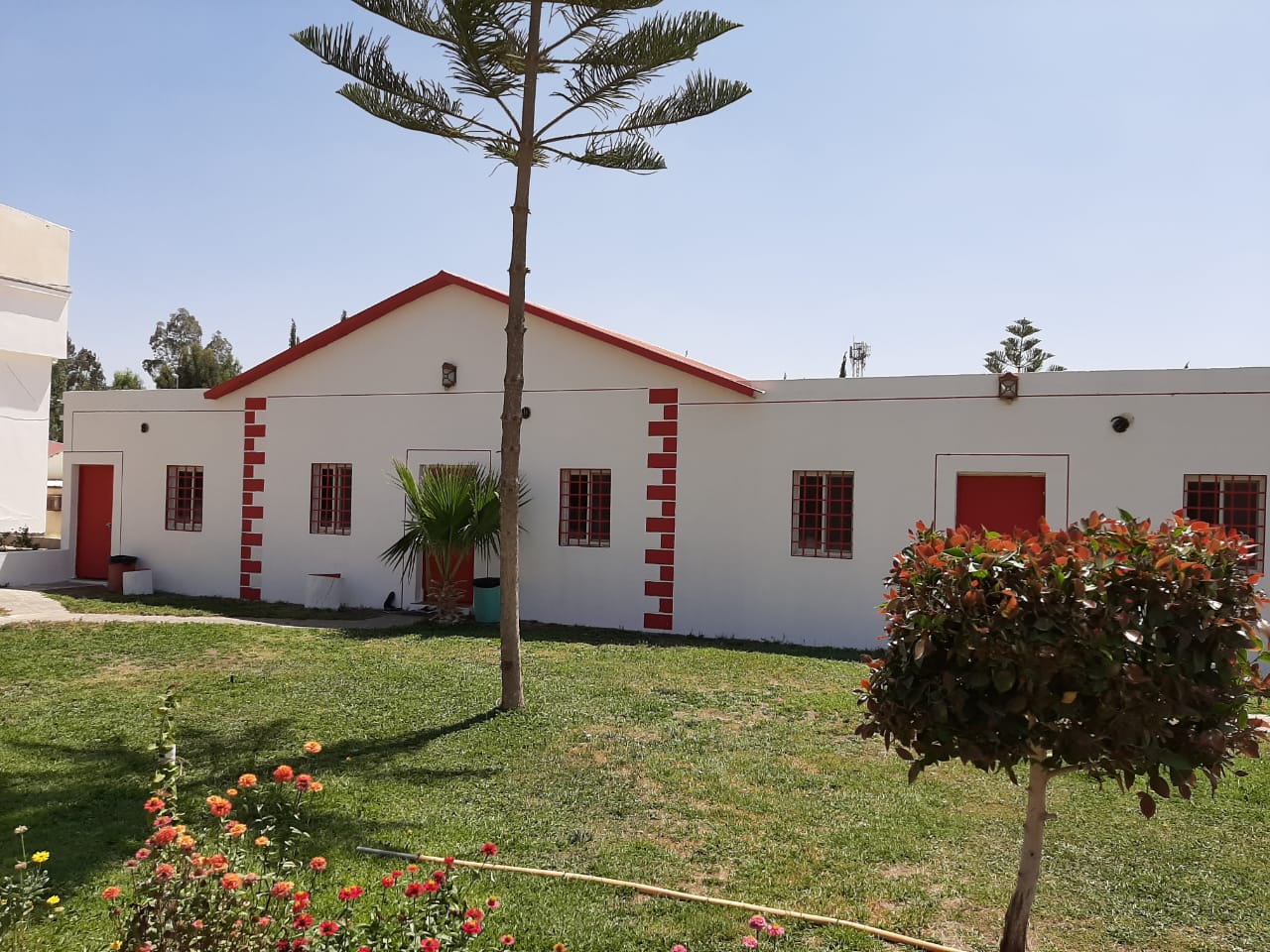 القرية الاوربية  - image 3